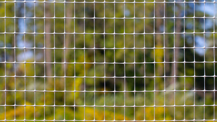 Green old metal mesh with selective focus. Close-up, abstract image