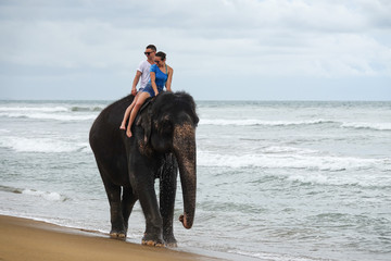 Young couple is riding on an elephant on the background of a tropical ocean beach. Tropical coast of Sri Lanka