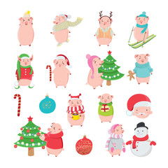 Set of happy and funny pigs on white background. Piglets as a symbol of 2019. Christmas holiday winter season.