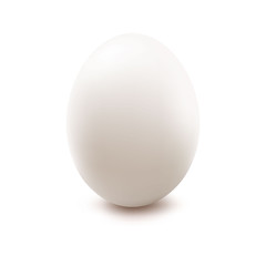 Egg. Vector illustration.
