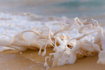 Sea foam on the Beach