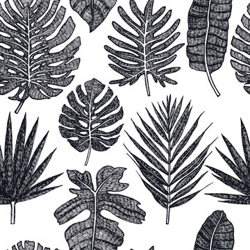 Tropical palm leaves Seamless pattern Black background