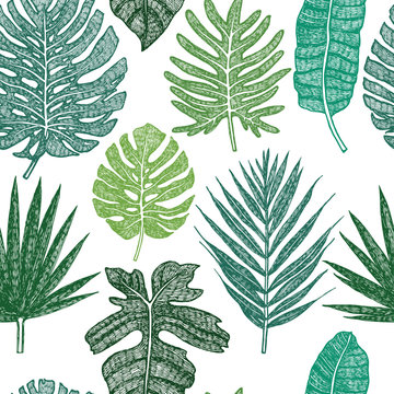 Tropical palm leaves Seamless pattern Green background