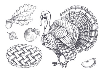 Bird Turkey and Baked Pie Apple Set Icons Vector