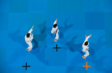 karate do boys against blue background. Top View. Sport competition.