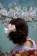Naklejka premium ENJOYING SAKURA