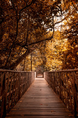 Naklejka na ściany i meble Wood bridge in the forest - autumn foliage