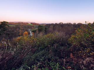 Fototapeta na wymiar wide angle shoot Autumn forest morning,Northern Ireland