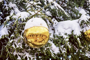 Christmas ball on a tree
