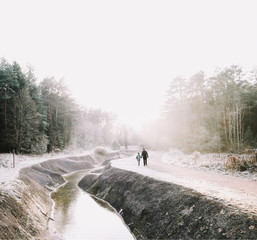 Father and son walk along the river bank. Silhouettes of people on the background of nature. Winter  landscape. Winter forest on the river. 