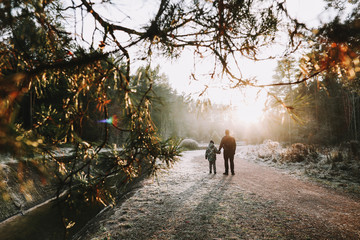 Father and son walk along the river bank. Silhouettes of people on the background of nature. Winter  landscape. Winter forest on the river. 
