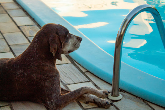 in the pool