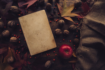 Flat lay top view vintage book with autumn decoration