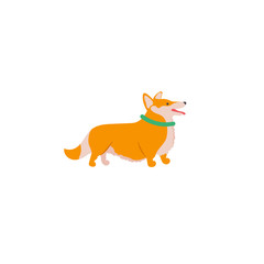 Vector illustration. Funny cartoon style icon of Welsh Corgi Cardigan for different design. Cute family dog.