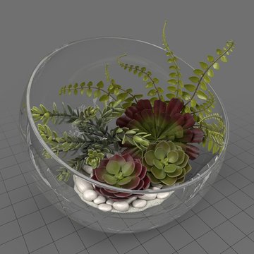Table terrarium with plants