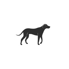 Vector illustration. Flat style icon of rhodesian ridgeback for different design. Cute hunting dog. Simple silhouette pictogram for different design.