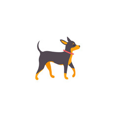 Vector illustration. Funny cartoon style icon of russian toy terrier for different design. Cute family dog.