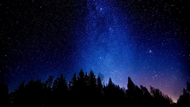 4k night time lapse with starry sky and Milky Way over forest. 3840x2160, 24fps.