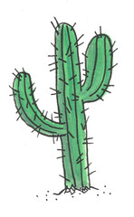 Illustrated Cactus Watercolor