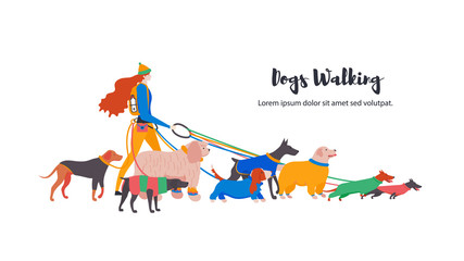 Vector illustration. Set icons of dogs in overalls and personal dog-walker. Different breeds: basset hound, komondor, rhodesian ridgeback, golden retriever, dobermann, weimaraner, dachshund. 