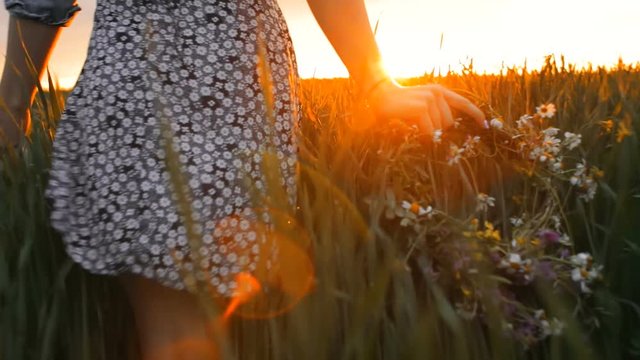 Flowers in the field. Girl in the field. Pagan Slavic rite. Pagan rite. Paganism. Sunset. Going into the sunset. Woman walks through the field. Girl during sunset