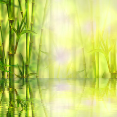 Fototapeta na wymiar Bamboo forest with reflection in water spa background. Watercolor illustration with space for text