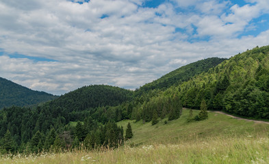 Fototapeta na wymiar Cloudy dark day in Pieniny national park in Slovakia