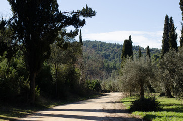 Christlich Orthodoxes Kloster, Athos Griechenland.