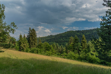Cloudy dark day in Pieniny national park in Slovakia