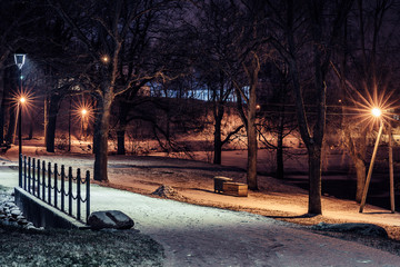 Moody Photo of the Park at Night in the Winter