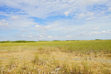 Fototapeta premium everglades national park, Florida, USA 