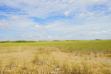  everglades national park, Florida, USA	