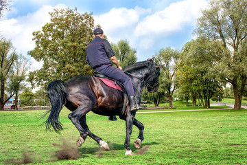Policeman on horse patroling in a park in summer.