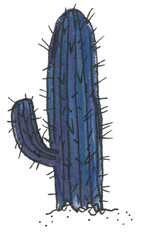 night cactus watercolor illustration