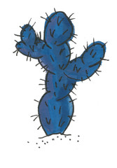 night cactus watercolor illustration