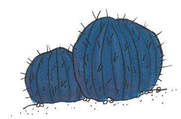 night cactus watercolor illustration