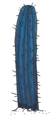 night cactus watercolor illustration