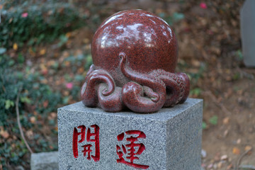 Octopus