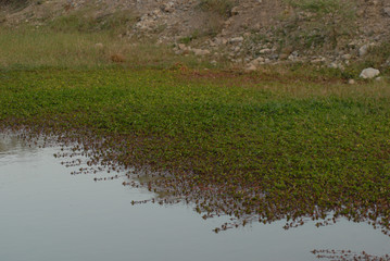 Rios y lagunas de la montaña de Guerrero Mexico
