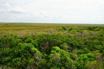 A canal in everglades national park