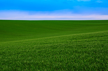 Abstract natural background