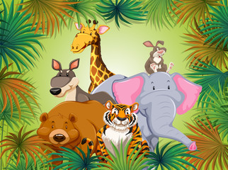 Naklejka premium Dzikie zwierzę w grean dżungli tle