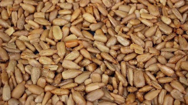 Sunflower seeds texture video rotating food closeup background