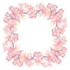 Illustration of watercolor hand drawn frame witn pink plumeria flowers isolated on white background. For cards, wedding invitation, posters.