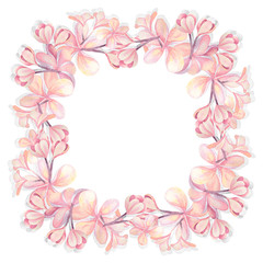Illustration of watercolor hand drawn frame witn pink plumeria flowers isolated on white background. For cards, wedding invitation, posters.