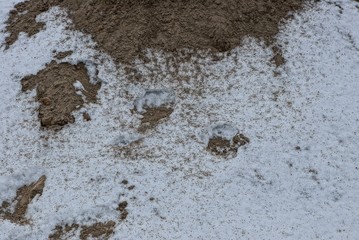 natural texture of white snow and gray sand