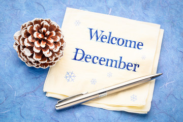 Welcome December - tex ton napkin