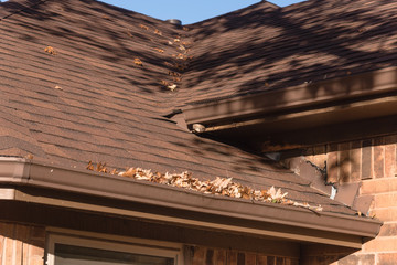 Close up rain gutter on residential home clogged with dried fall leaves. Shingles and gutter with...