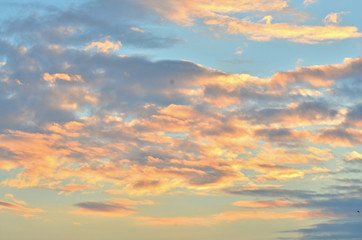 Background nature sky cloud 