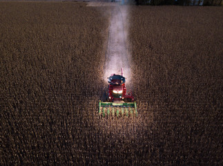 Through the field